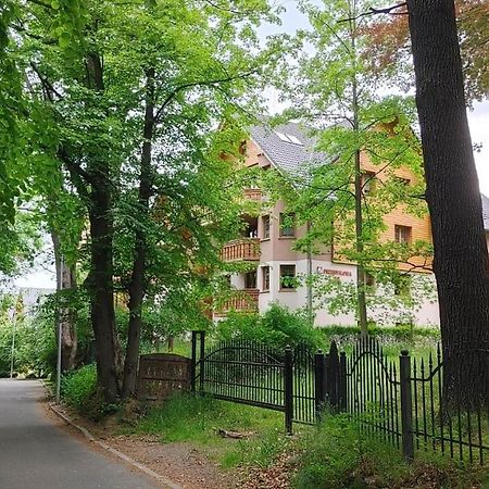 Apartament Mieta カルパッチ エクステリア 写真