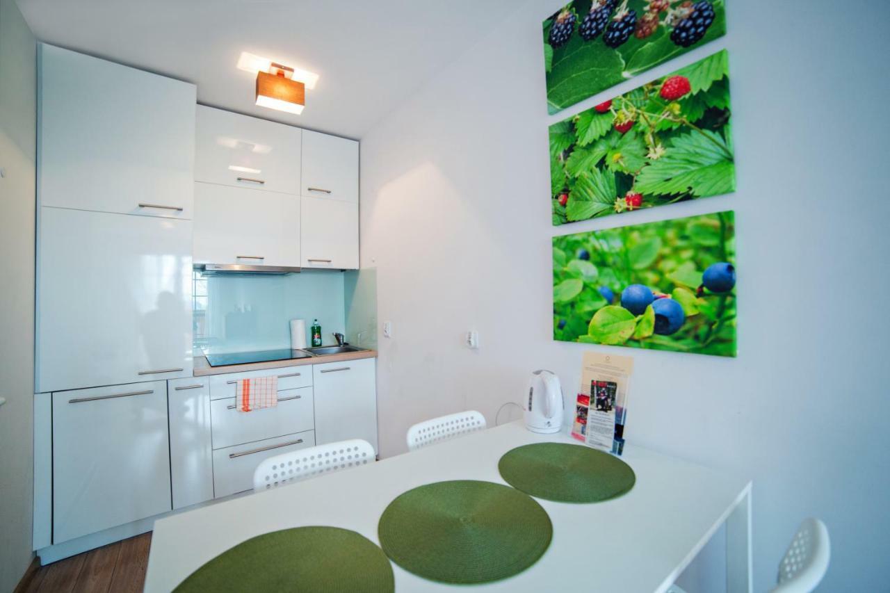 Apartament Mieta カルパッチ エクステリア 写真