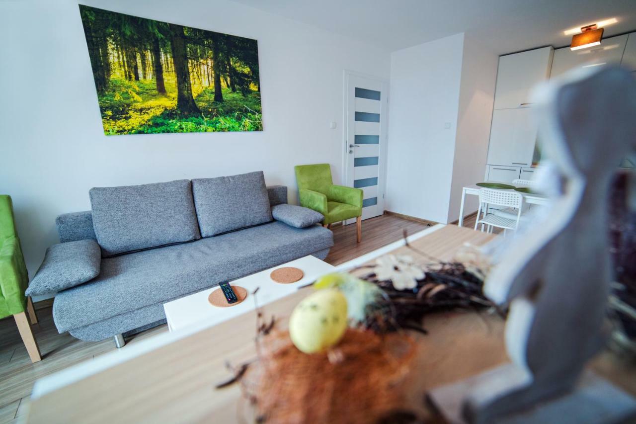 Apartament Mieta カルパッチ エクステリア 写真